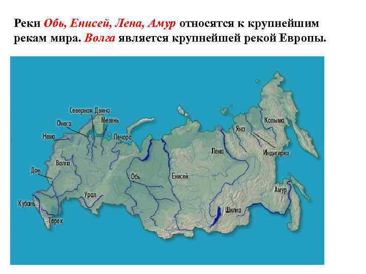 Реки Обь, Енисей, Лена, Амур относятся к крупнейшим рекам мира. Волга является крупнейшей рекой