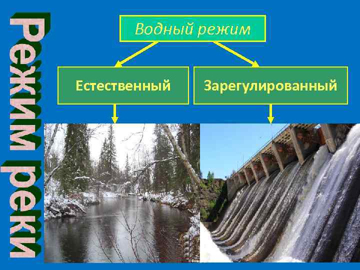 Водный режим Естественный Зарегулированный 