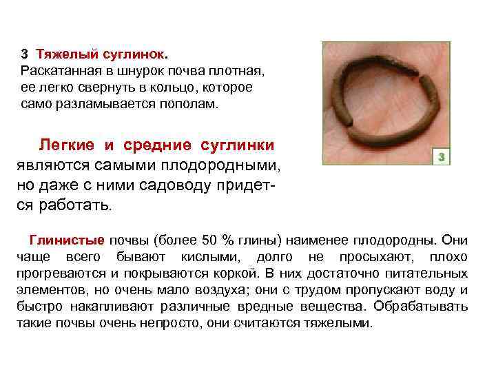 3 Тяжелый суглинок. Раскатанная в шнурок почва плотная, ее легко свернуть в кольцо, которое