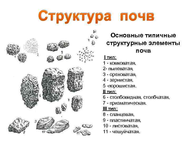 Структура почв Основные типичные структурные элементы почв I тип: 1 - комковатая, 2 -