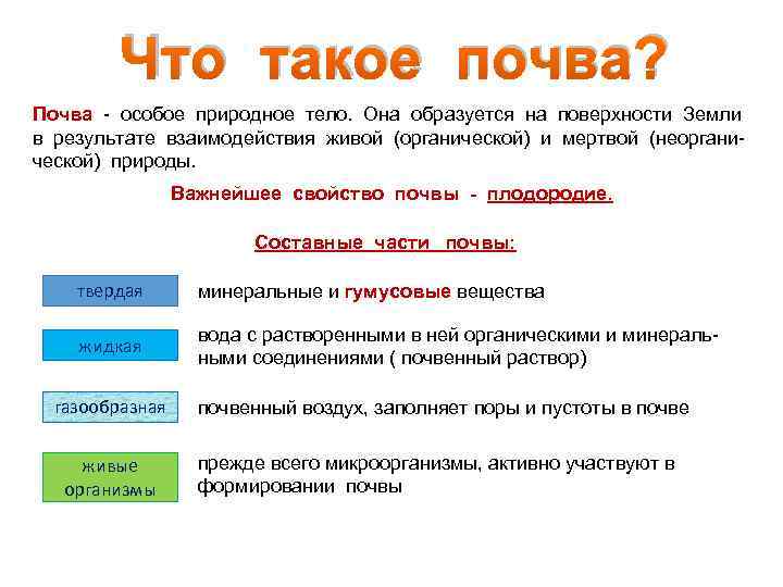 Что такое почва? Почва - особое природное тело. Она образуется на поверхности Земли в
