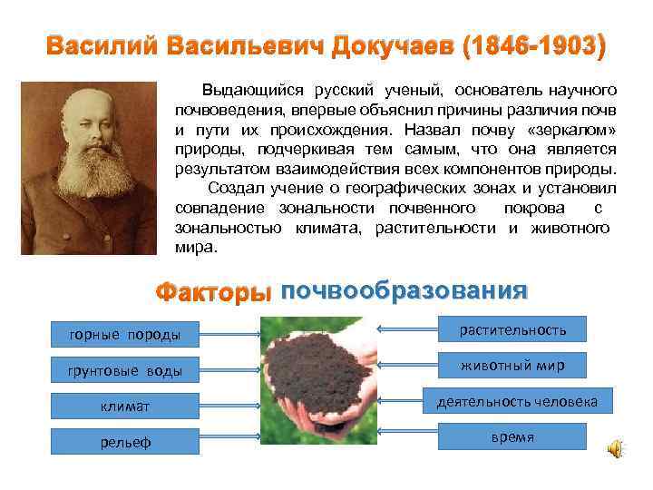 Василий Васильевич Докучаев (1846 -1903 ) Выдающийся русский ученый, основатель научного почвоведения, впервые объяснил