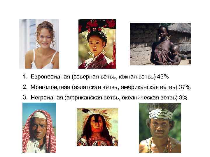 1. Европеоидная (северная ветвь, южная ветвь) 43% 2. Монголоидная (азиатская ветвь, американская ветвь) 37%