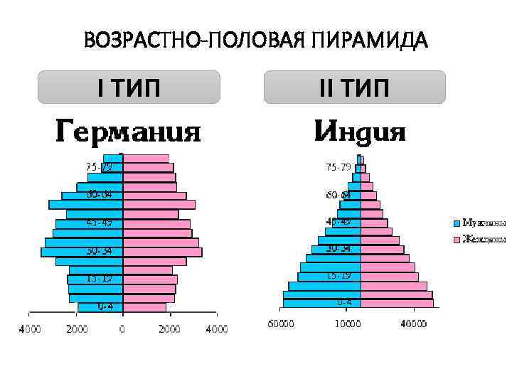 Проанализировав половозрастные пирамиды на рисунке 182 объясните следующие