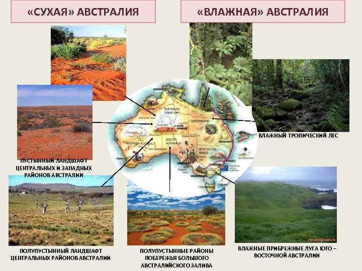  «СУХАЯ» АВСТРАЛИЯ «ВЛАЖНАЯ» АВСТРАЛИЯ ВЛАЖНЫЙ ТРОПИЧЕСКИЙ ЛЕС ПУСТЫННЫЙ ЛАНДШАФТ ЦЕНТРАЛЬНЫХ И ЗАПАДНЫХ РАЙОНОВ