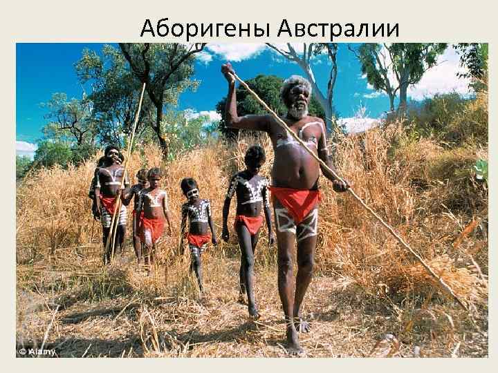 Аборигены Австралии 