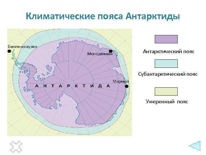 Климатические пояса Антарктиды Антарктический пояс Субантарктический пояс Умеренный пояс 