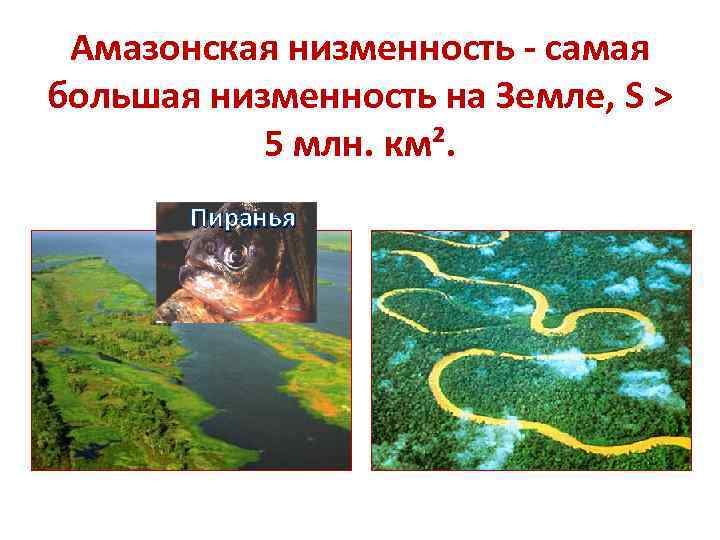 Амазонская низменность - самая большая низменность на Земле, S > 5 млн. км². Пиранья