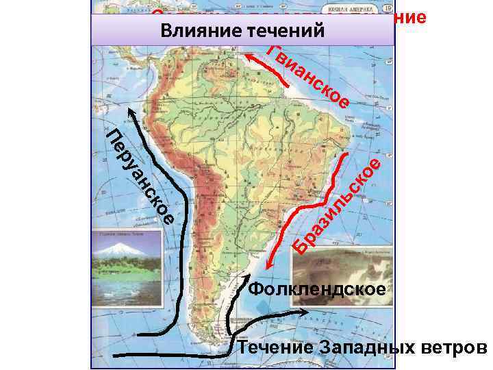 Северное пассатное течение Влияние течений Гв иа нс ко е ое ск ил ь