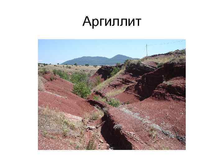 Аргиллит 