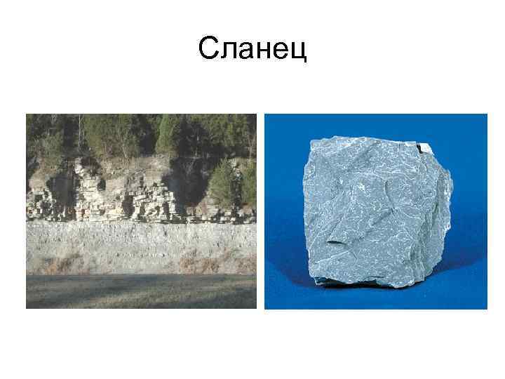 Сланец 