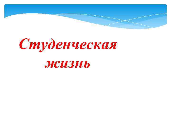 Студенческая жизнь 