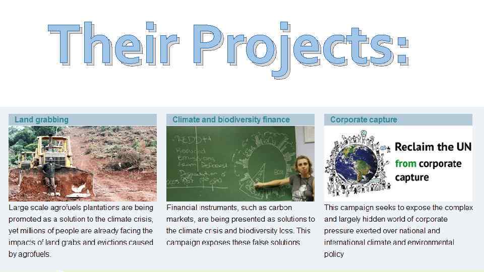 Their Projects: 