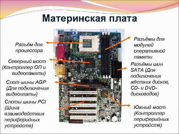 Материнская плата Разъём для процессора Северный мост (Контроллер ОП и видеопамяти) Слот шины AGP