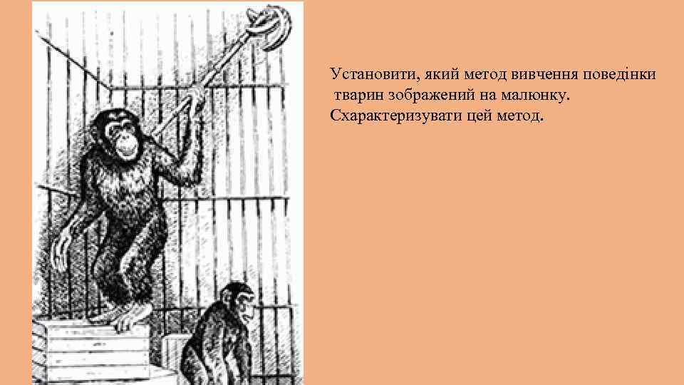 Установити, який метод вивчення поведінки тварин зображений на малюнку. Схарактеризувати цей метод. 