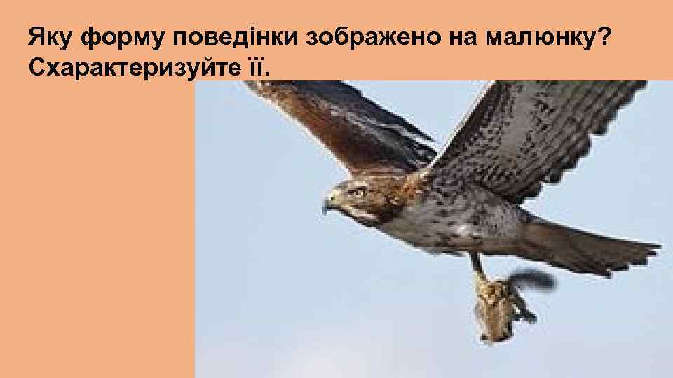 Яку форму поведінки зображено на малюнку? Схарактеризуйте її. 