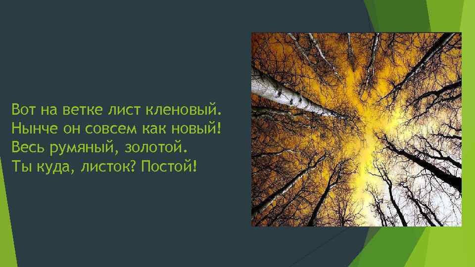 Скучная картина тучи без конца дождик так и льется лужи у крыльца время года