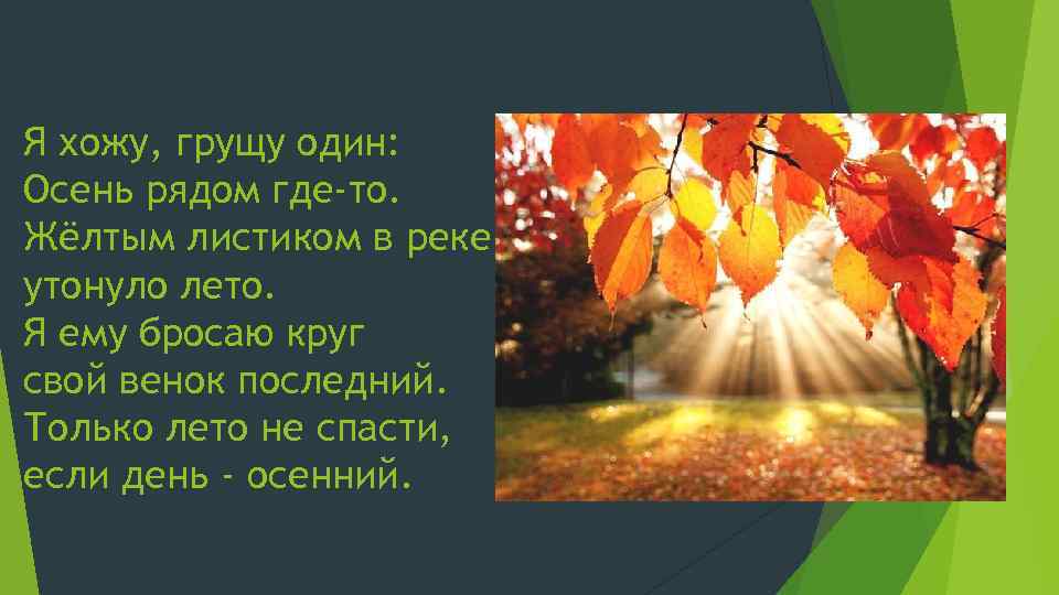 Скучная картина тучи без конца дождик так и льется лужи у крыльца какое время