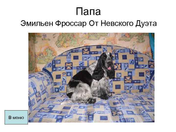 Папа Эмильен Фроссар От Невского Дуэта В меню 