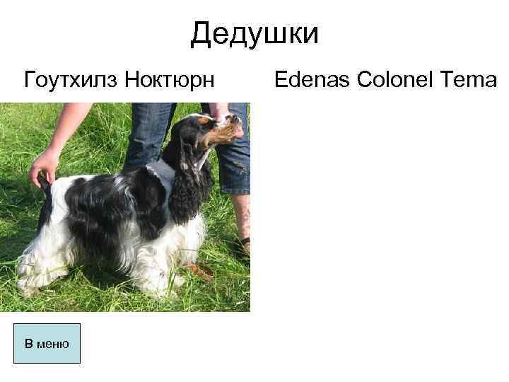 Дедушки Гоутхилз Ноктюрн В меню Edenas Colonel Tema 
