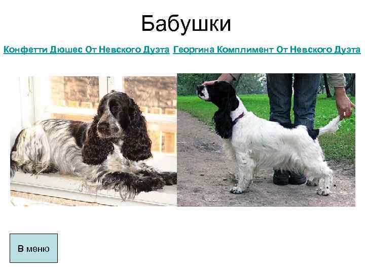 Бабушки Конфетти Дюшес От Невского Дуэта Георгина Комплимент От Невского Дуэта В меню 