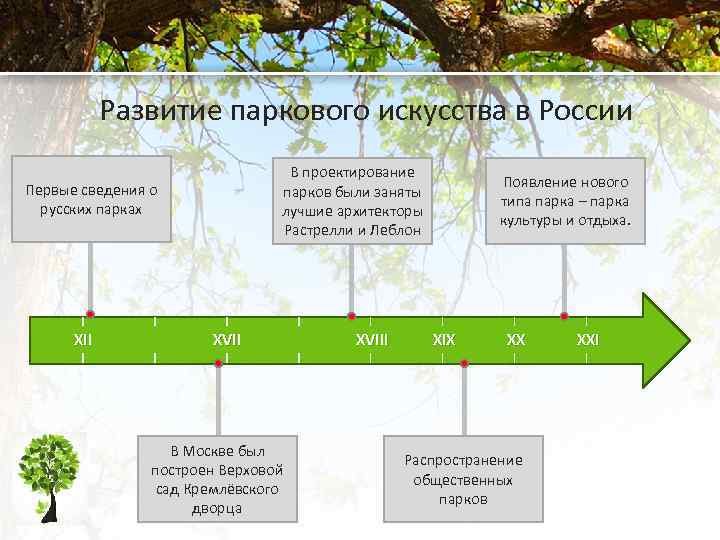 Развитие паркового искусства в России В проектирование парков были заняты лучшие архитекторы Растрелли и