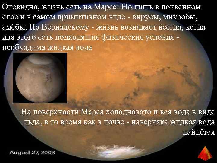 Очевидно, жизнь есть на Марсе! Но лишь в почвенном слое и в самом примитивном