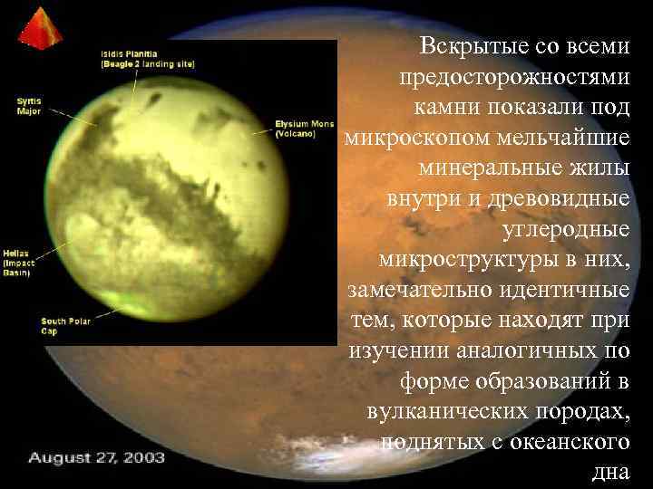 Вскрытые со всеми предосторожностями камни показали под микроскопом мельчайшие минеральные жилы внутри и древовидные