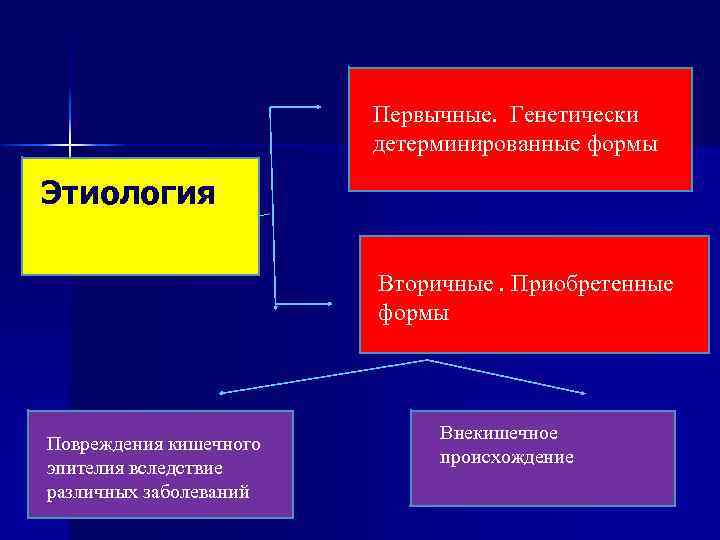 Первычные. Генетически детерминированные формы Этиология Вторичные. Приобретенные формы Повреждения кишечного эпителия вследствие различных заболеваний