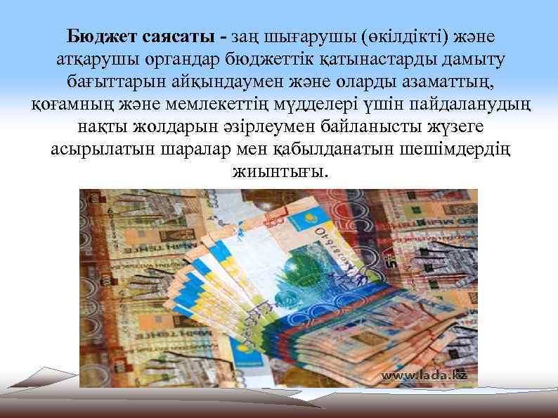 Бюджет саясаты - заң шығарушы (өкілдікті) және атқарушы органдар бюджеттік қатынастарды дамыту бағыттарын айқындаумен