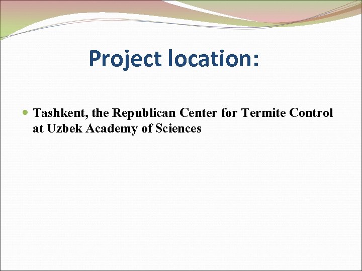 Project location: Tashkent, the Republican Center for Termite Control at Uzbek Academy of Sciences