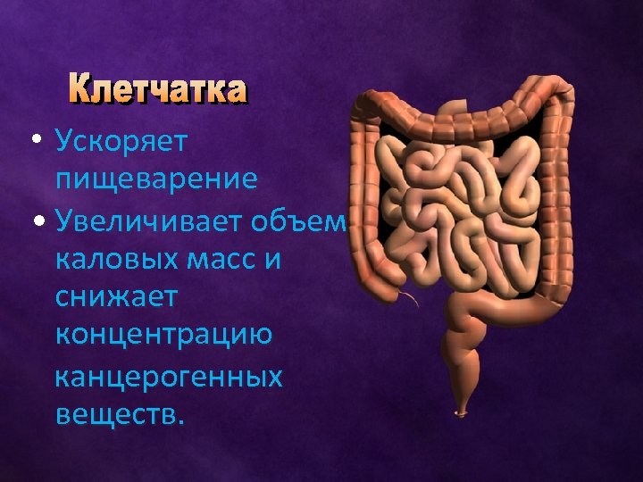  • Ускоряет пищеварение • Увеличивает объем каловых масс и снижает концентрацию канцерогенных веществ.
