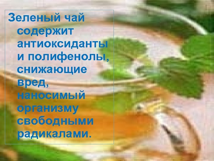 Зеленый чай содержит антиоксиданты и полифенолы, снижающие вред, наносимый организму свободными радикалами. 