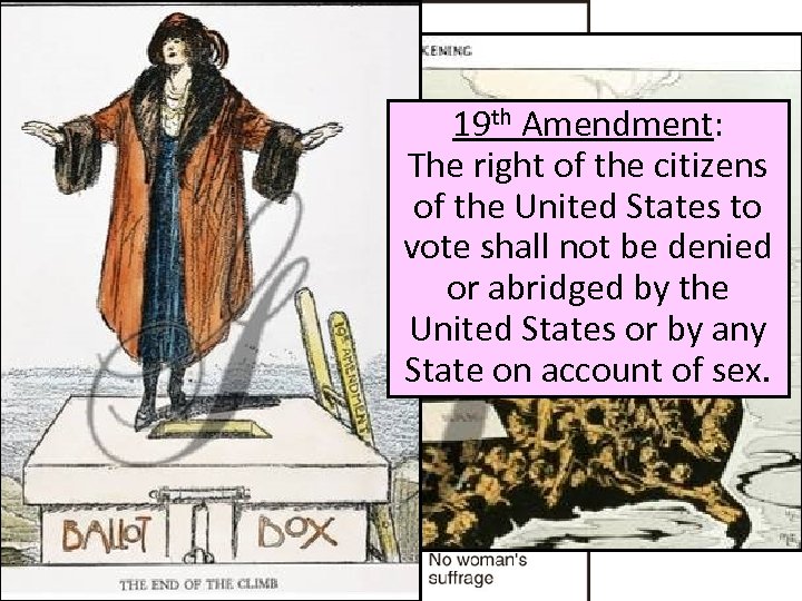 19 th Amendment: The right of the citizens of the United States to Women’s