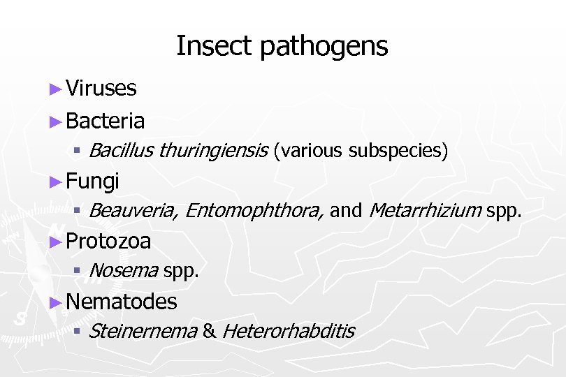 Insect pathogens ► Viruses ► Bacteria § Bacillus thuringiensis (various subspecies) ► Fungi §