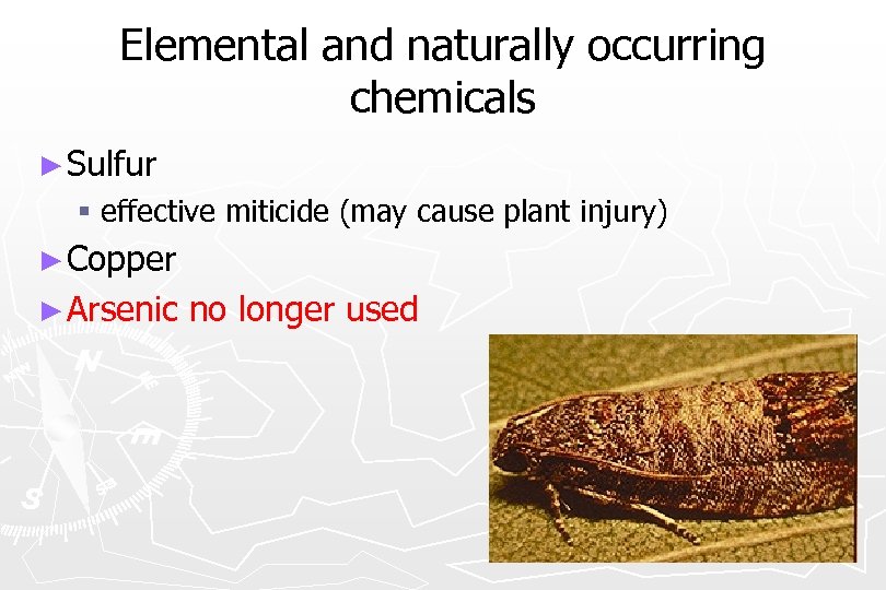 Elemental and naturally occurring chemicals ► Sulfur § effective miticide (may cause plant injury)
