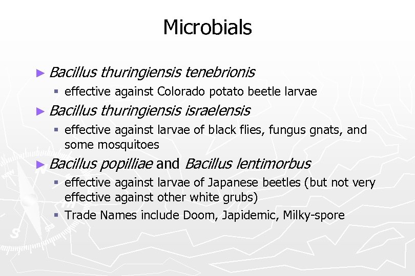 Microbials ► Bacillus thuringiensis tenebrionis § effective against Colorado potato beetle larvae ► Bacillus