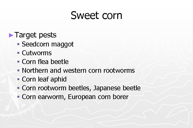 Sweet corn ► Target pests § Seedcorn maggot § Cutworms § Corn flea beetle