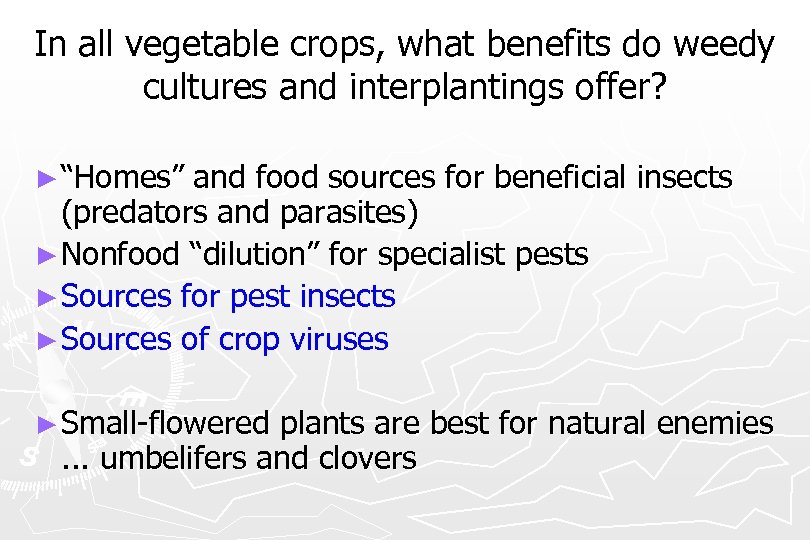 In all vegetable crops, what benefits do weedy cultures and interplantings offer? ► “Homes”