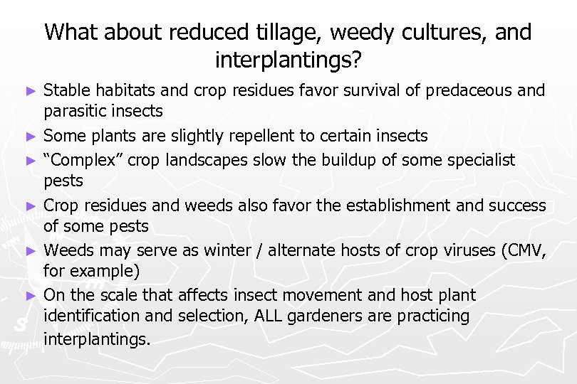 What about reduced tillage, weedy cultures, and interplantings? ► ► ► Stable habitats and