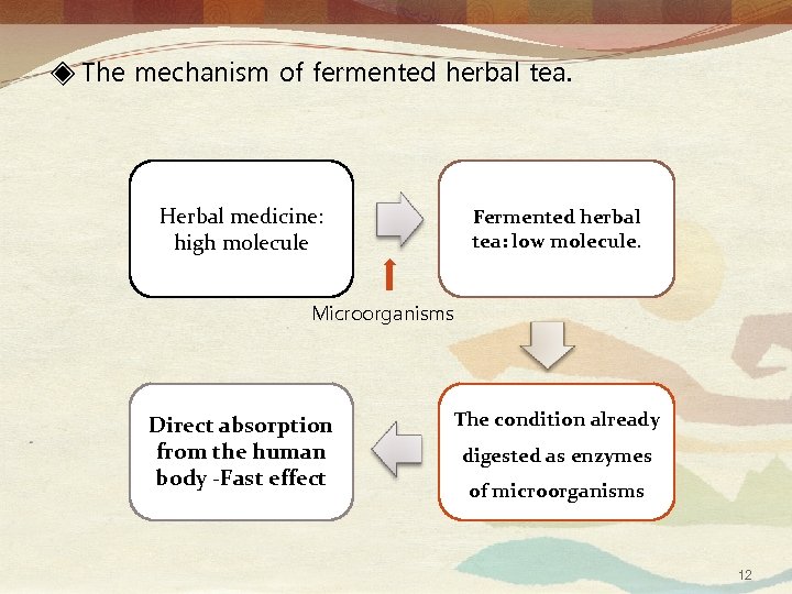 ◈ The mechanism of fermented herbal tea. Herbal medicine: high molecule Fermented herbal tea: