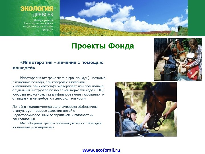 Проекты Фонда «Иппотерапия – лечение с помощью лошадей» Иппотерапия (от греческого hippo, лошадь) -