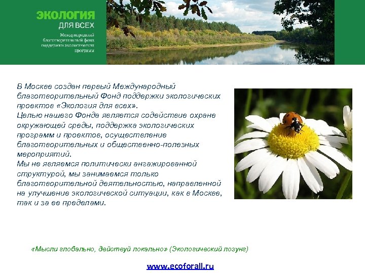 В Москве создан первый Международный благотворительный Фонд поддержки экологических проектов «Экология для всех» .