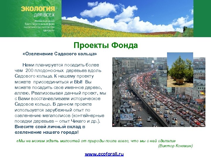 Проекты Фонда «Озеленение Садового кольца» Нами планируется посадить более чем 200 плодоносных деревьев вдоль