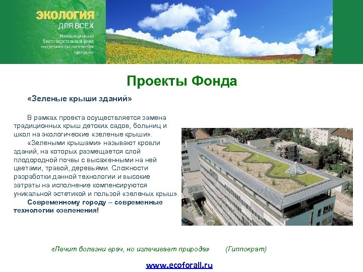 Проекты Фонда «Зеленые крыши зданий» В рамках проекта осуществляется замена традиционных крыш детских садов,