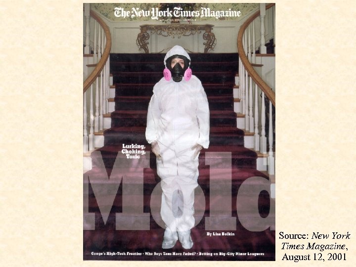 Source: New York Times Magazine, August 12, 2001 