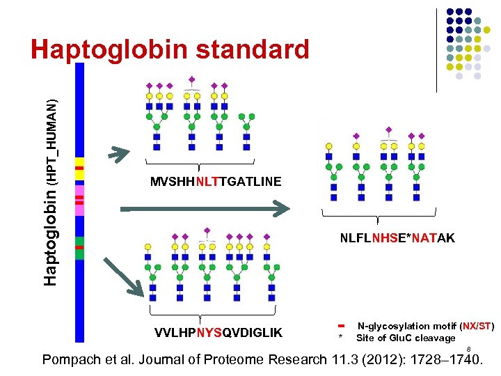 Haptoglobin (HPT_HUMAN) Haptoglobin standard MVSHHNLTTGATLINE NLFLNHSE*NATAK VVLHPNYSQVDIGLIK • * N-glycosylation motif (NX/ST) Site of