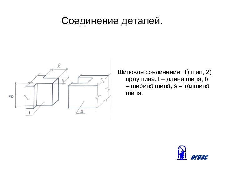 Соединение деталей. Шиповое соединение: 1) шип, 2) проушина, l – длина шипа, b –
