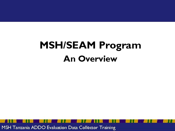 MSH/SEAM Program An Overview MSH Tanzania ADDO Evaluation Data Collector Training 