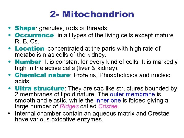 2 - Mitochondrion • Shape: granules, rods or threads. • Occurrence: in all types